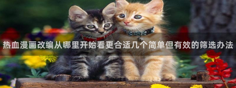 漫蛙漫画最新页面