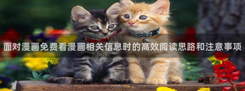 漫蛙漫画阅读网站